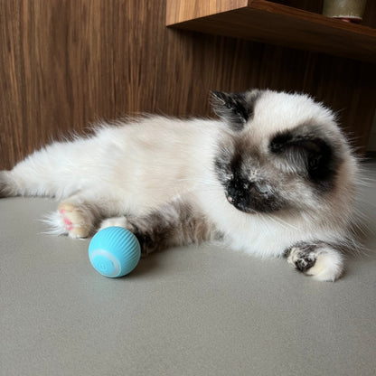 Smart Cat Toy